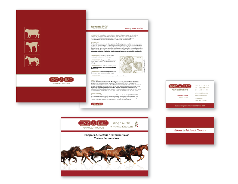 business collateral, brochures, business cards, flyers, logos